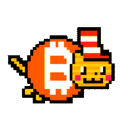 CATS•IN•THE•SA