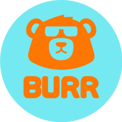 Burr Governance Toke