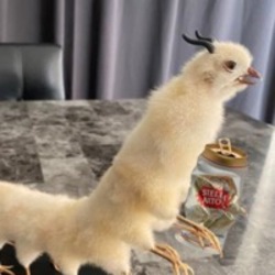 Drunk Chicken Centip