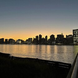 Dog shit going nowhe