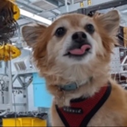 Qubit The Quantum Do