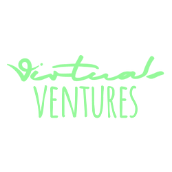 Virtuals Ventures by