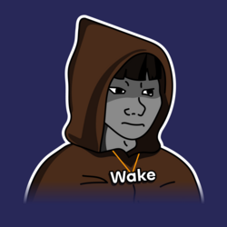 Wakehacker by Virtua