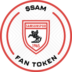 Wrapped Samsunspor (