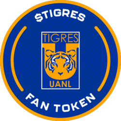 Wrapped Club Tigres 